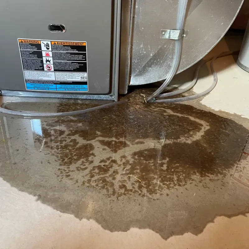 Appliance Leak Cleanup in Union City, TN